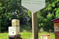 ECT PROUD SPONSOR OF THE BEEHIVES OF 'LOURENÇO APICULTEUR', BEEKEEPER ECT PROUD SPONSOR OF THE BEEHIVES OF 'LOURENÇO APICULTEUR', BEEKEEPER