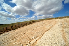 ITS HABITAT: CHALKY, STONY, SUNNY TERRAIN ITS HABITAT: CHALKY, STONY, SUNNY TERRAIN