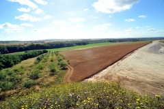 OVERVIEW OF THE SITE AND THE ORCHARD OVERVIEW OF THE SITE AND THE ORCHARD