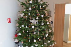 Décembre - Toutes les équipes vous souhaitent de très belle fête de fin d'année Décembre - Toutes les équipes vous souhaitent de très belle fête de fin d'année