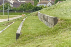 Et également des gradins végétalisés