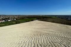 Les pelouses sèches sont des milieux ouverts désormais rares en Ile de France