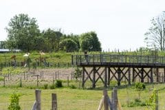 Notamment grâce à la réalisation d'un belvédère Notamment grâce à la réalisation d'un belvédère