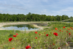 Ce parc vient ouvrir les 7 ha complémentaires de "poumon vert" Ce parc vient ouvrir les 7 ha complémentaires de "poumon vert"