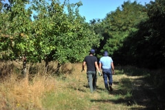 THE ORCHARD ON THE ECT SITE AT VILLENEUVE IS MADE UP OF MORE THAN 290 FRUIT TREES THE ORCHARD ON THE ECT SITE AT VILLENEUVE IS MADE UP OF MORE THAN 290 FRUIT TREES