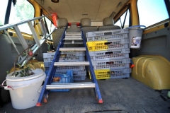 Une récolte variée et de saison qui sera savourée par le centre de loisir de Moussy-le-Neuf, les centres d'hébergement et de réinsertion sociale, ainsi que dans les boutiques solidaires "Les Pot'iront". Une récolte variée et de saison qui sera savourée par le centre de loisir de Moussy-le-Neuf, les centres d'hébergement et de réinsertion sociale, ainsi que dans les boutiques solidaires "Les Pot'iront".