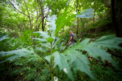 Le respect de l'environnement et la préservation de la biodiversité Le respect de l'environnement et la préservation de la biodiversité