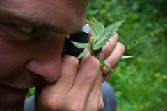Dans la protection de l'environnement et de la biodiversité Dans la protection de l'environnement et de la biodiversité