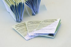 Muni de leur carnet aventure, les aventuriers vont arpenter le site Muni de leur carnet aventure, les aventuriers vont arpenter le site