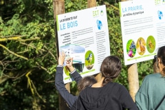 Une énigme sur la biodiversité, à la recherche des êtres vivants Une énigme sur la biodiversité, à la recherche des êtres vivants