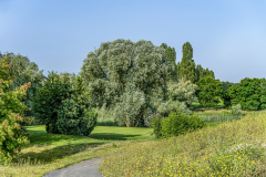 Trou numéro 16 Trou numéro 16