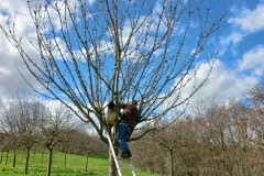 Sur le site ECT de Villeneuve-sous-Dammartin
