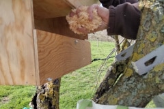 Pour favoriser l'installation d'un oiseau protégé