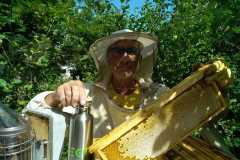 Rencontre biodiversité au milieu des abeilles.