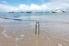 Entre sable fin et coquillages, la gourde profite du littoral rétais.