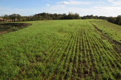 Novembre | Grisy-Suisnes, redonner une vitalité agricole aux terres Novembre | Grisy-Suisnes, redonner une vitalité agricole aux terres