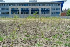 Novembre | Ouverture d'une agence ECT dans les Hauts-de-France Novembre | Ouverture d'une agence ECT dans les Hauts-de-France