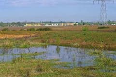 Avril | A Roissy-en-Brie, découverte de la zone écologique