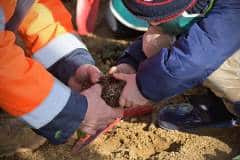 Février | Les écoliers des écoles locales végétalisent l'Œil Ouest, Icare Février | Les écoliers des écoles locales végétalisent l'Œil Ouest, Icare