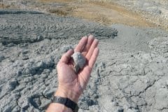 Janvier | Expérimen-terre, résidence de l'artiste Stefan Shankland Janvier | Expérimen-terre, résidence de l'artiste Stefan Shankland