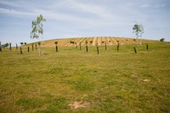 20100706-Andilly-exploitation-amenagement-17