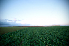 D212 - Route de la Chapelle