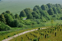 20180521-Merlon-anti-bruit-©-Gil-Fornet-129