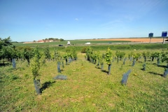 Combs-la-Ville (77) protection RN104