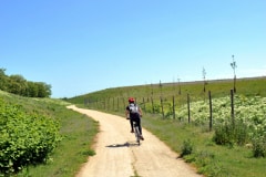 Cycliste sur un chemin aménagé sur la butte de Combs-la-Ville (77) Cycliste sur un chemin aménagé sur la butte de Combs-la-Ville (77)