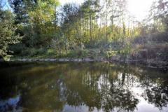 Claye-Souilly-Parc-du-Papillon-de-la-Pree