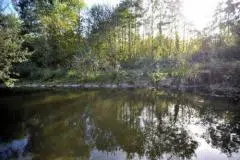 Claye-Souilly-Parc-du-Papillon-de-la-Pree