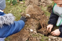 Les 180 éllèves sont venus planter