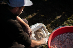 A giant biodegradable landart painting entitled "Un jeu d'enfant?" by French-Swiss artist Saype is pictured on Tuesday September 28, 2021 in Annet-sur-Marne near Paris, France. With an overall area of 3'500 square meters this fresco was created using biodegradable pigments made out of charcoal, chalk, water and milk proteins. (LeSabe for Saype) A giant biodegradable landart painting entitled "Un jeu d'enfant?" by French-Swiss artist Saype is pictured on Tuesday September 28, 2021 in Annet-sur-Marne near Paris, France. With an overall area of 3'500 square meters this fresco was created using biodegradable pigments made out of charcoal, chalk, water and milk proteins. (LeSabe for Saype)
