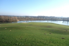 extension golf extension golf