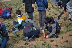 Au programme des plantations Au programme des plantations