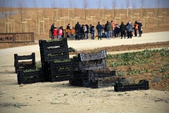 Merci aux élèves, aux directeurs, enseignants, accompagnants qui ont plantés plus de 1 500 godets Merci aux élèves, aux directeurs, enseignants, accompagnants qui ont plantés plus de 1 500 godets